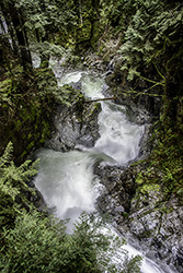 DSC_5909_1272 CascadeCreek
